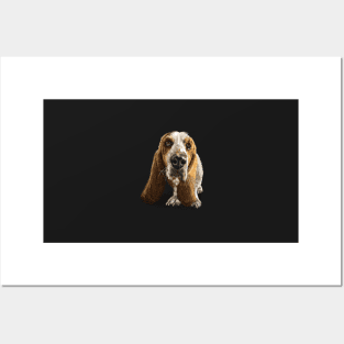 The Basset Hound Dog Posters and Art